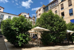 Ourense: tour privado a pie por la ciudad de 2 horas