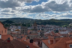 Ourense: Guidet tur og billet til Ourense-katedralen