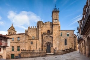 Ourense : billet d'entrée à la cathédrale d'Ourense