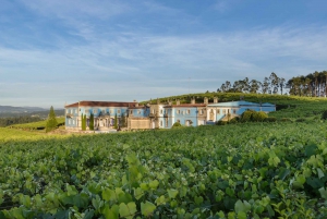 Pontevedra: Bodegas Granbazán Winery Tour and Tasting