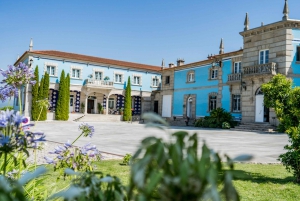 Pontevedra: Bodegas Granbazán Winery Tour and Tasting
