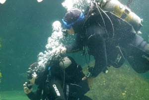 ポンテベドラ：オ グローブ水族館体験