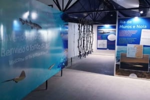 Pontevedra: Grove Aquarium Experience