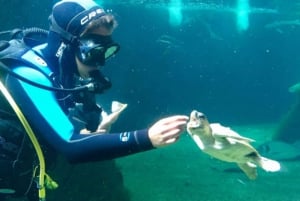ポンテベドラ：オ グローブ水族館体験