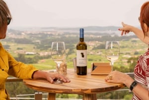 Bodega en Rías Baixas con las mejores vistas del Valle del Salnés