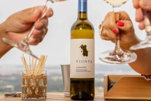 Bodega en Rías Baixas con las mejores vistas del Valle del Salnés