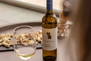 Bodega en Rías Baixas con las mejores vistas del Valle del Salnés