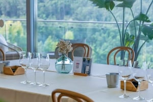 Bodega en Rías Baixas con las mejores vistas del Valle del Salnés