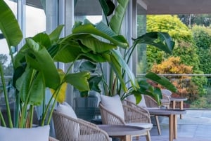 Bodega en Rías Baixas con las mejores vistas del Valle del Salnés