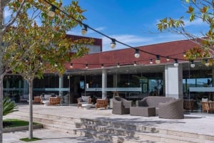 Bodega en Rías Baixas con las mejores vistas del Valle del Salnés