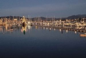 Porto: Tagestour nach Baiona, Santiago de Compostela und Vigo