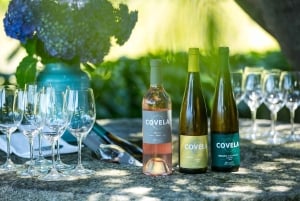 Porto: Privat grønn vintur: Besøk to vingårder og lunsj