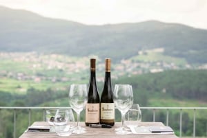 Porto: Privat grønn vintur: Besøk to vingårder og lunsj