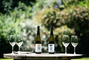 Porto: Privat grønn vintur: Besøk to vingårder og lunsj