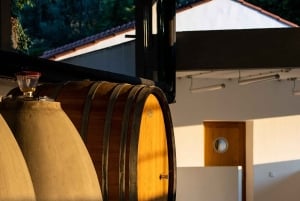 Porto: Privat grønn vintur: Besøk to vingårder og lunsj