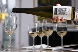 Porto: Privat grønn vintur: Besøk to vingårder og lunsj