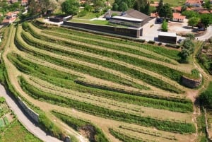 Porto: Privat grønn vintur: Besøk to vingårder og lunsj