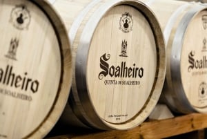 Porto: Privat grønn vintur: Besøk to vingårder og lunsj