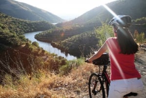 ポルトガル：大西洋岸からドウロ渓谷までのプレミアム自転車ツアー