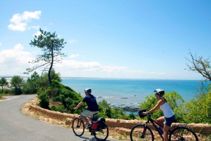 Portugal: Premium bike tour Atlantic Coast to Douro Valley