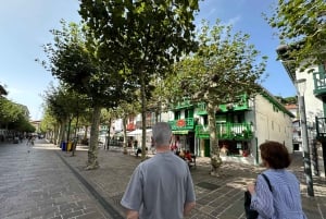 Tour particular pelo norte da Espanha 10 dias