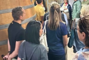 Tour particular pelo norte da Espanha 10 dias