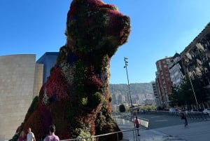 Tour particular pelo norte da Espanha 10 dias