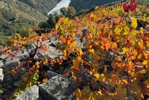 Tour particular pelo norte da Espanha 10 dias