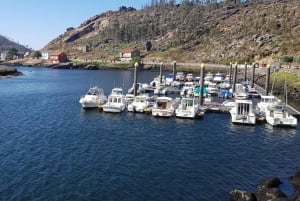 جولة خاصة إلى فينستير و كوستا دا مورتي من سانتياغو