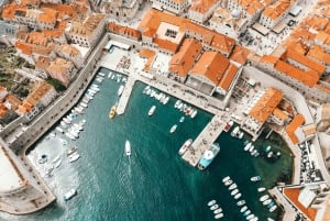 Privat tur till Oporto från Vigo kryssningsterminal