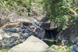 Yksityinen retki Peneda-Gerêsin kansallispuistoon, luontoystäville