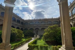 جولة خاصة إلى سانتياغو من ميناء لاكورونيا - للطرادات فقط