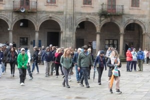 Tour privato a Santiago da Vigo - Solo crociere