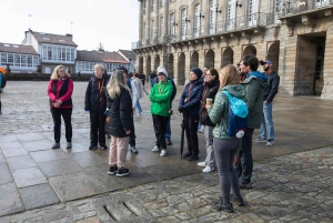 Privétour naar Santiago vanuit Vigo - alleen cruisers