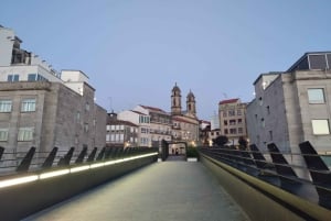 Experiencia privada en Vigo