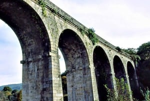 Redondela : Visite privée