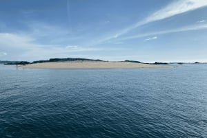 Ría de Arousa: Segelbåtskryssning dagtid eller solnedgång med drycker