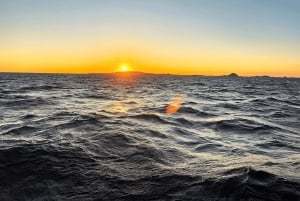 Ría de Arousa: Arousa: Päivällä tai auringonlaskun purjeveneristeily juomineen.