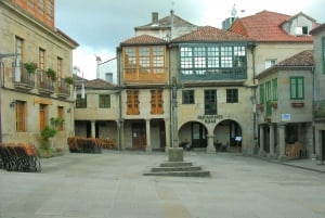 De Santiago de Compostela: Excursão às Rías Baixas c/ Barco