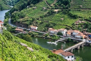 ✅Ruta Ribeira Sacra og Sarria: Mellom vingårder, historie og Jakobsveien