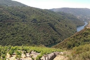Ribeira Sacra from Santiago: with wine tastings and Cruise