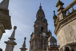 Kathedrale von Santiago: Besuch mit Dächern und Portikus optional