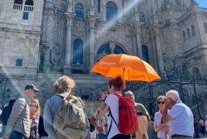 Katedralen i Santiago: Besök med tak och Portico tillval