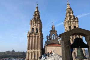 Santiago-katedralen: Besøk med hustak og Portico (valgfritt)