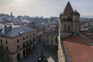 サンティアゴ大聖堂：屋上と柱廊玄関の見学はオプションです