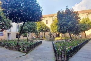 Stadsvandring i Santiago och Santiago de Compostelas universitet