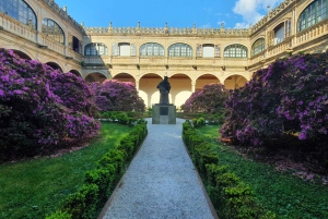 Stadsvandring i Santiago och Santiago de Compostelas universitet