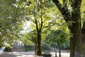 산티아고 데 콤포스텔라: 도시 가이드 투어