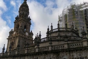 Tour privato di Santiago de Compostela di 10 ore da Oporto