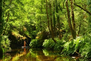 SUP-turer (PNPG - nasjonalpark)